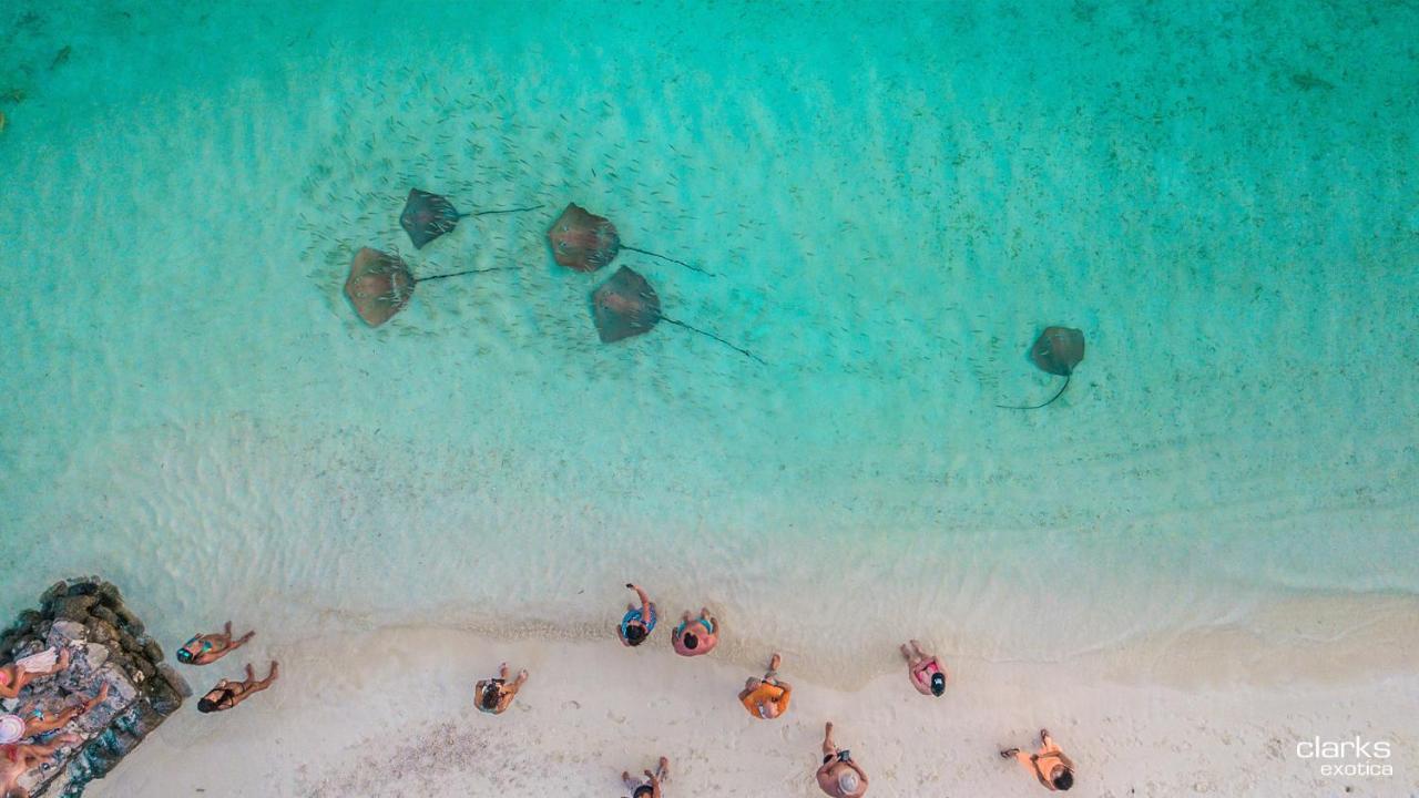 Swarn By Hawks Hotels Kamadhoo المظهر الخارجي الصورة